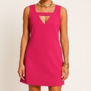 Banana Republic Hot Pink Peek a Boo Sleeveless Pullover Shift Dress 6